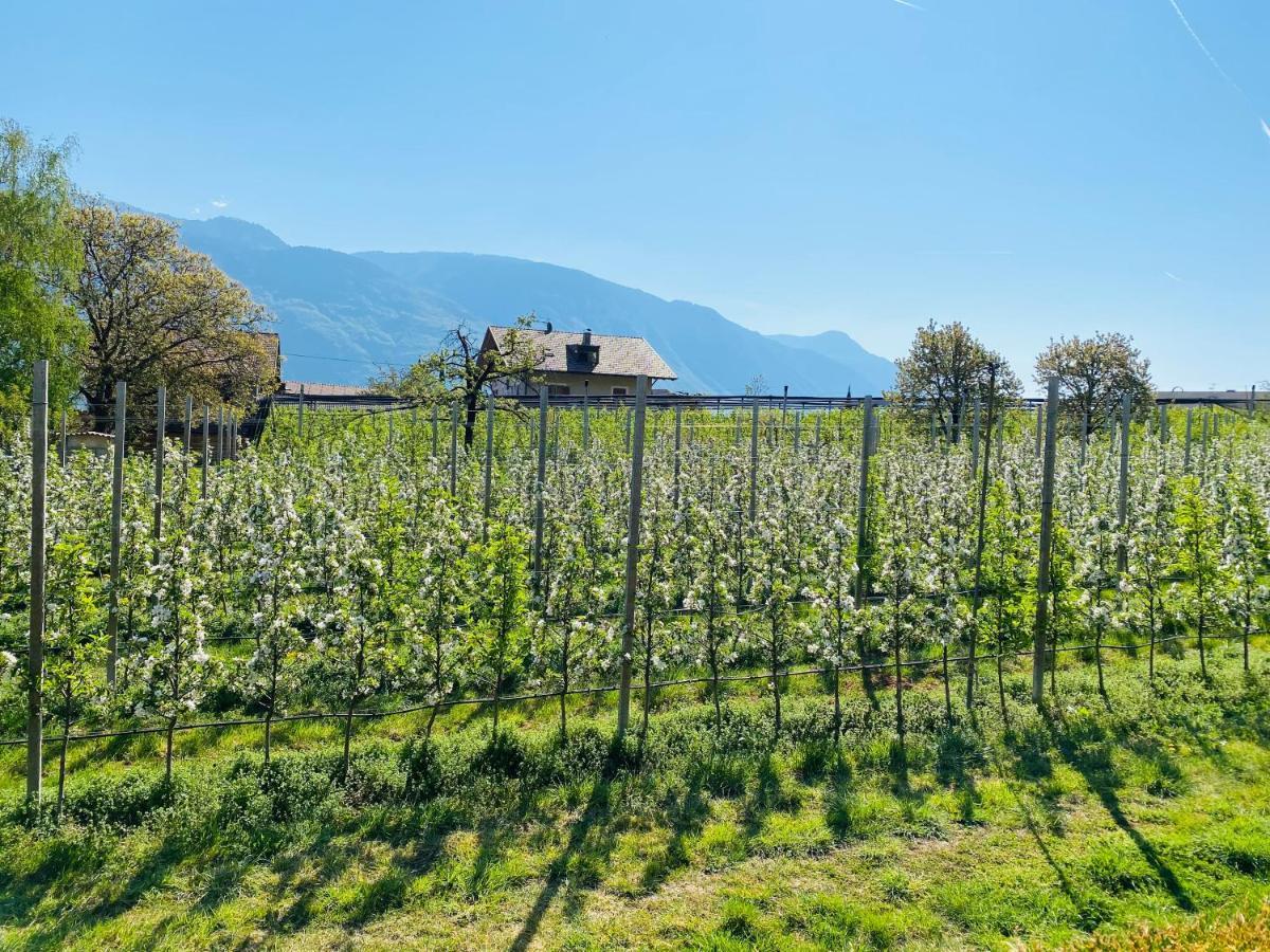Pension Rebgut Bed and Breakfast Lana Esterno foto