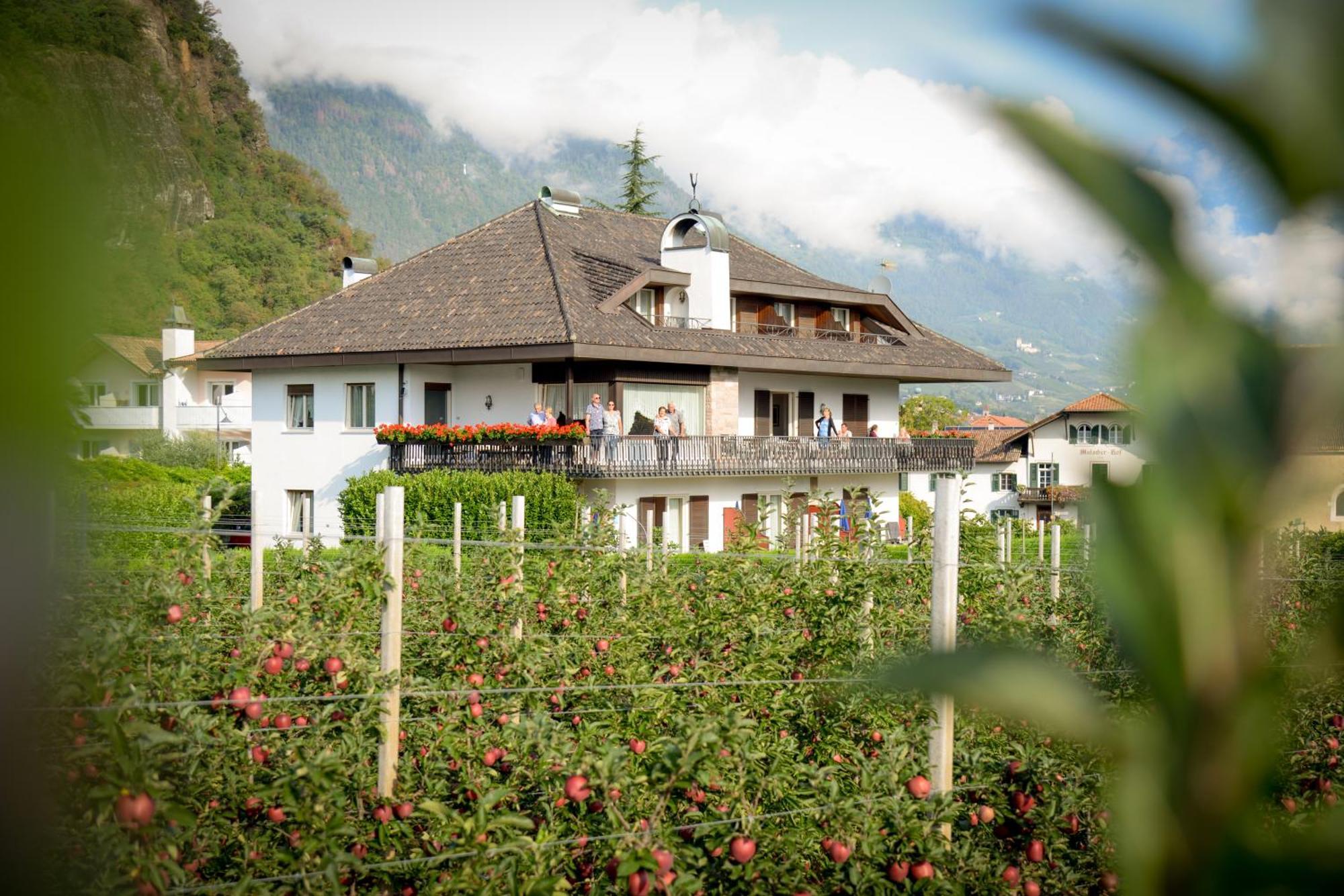 Pension Rebgut Bed and Breakfast Lana Esterno foto